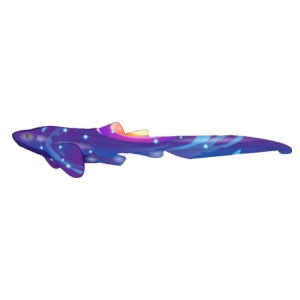 Cosmic Zebra Shark